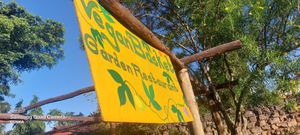  at Vegan Basket in Kilifi