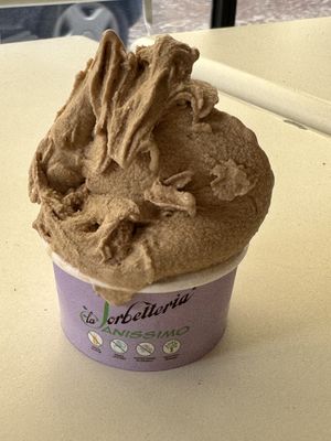   at La Sorbetteria Castiglione in Bologna