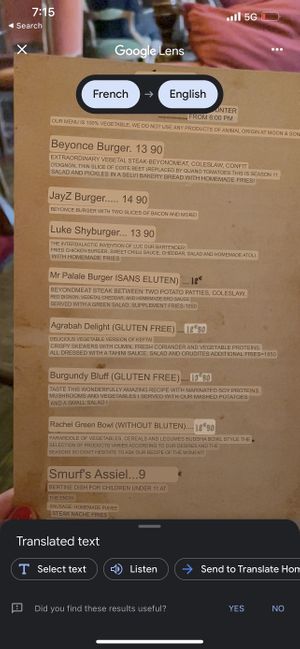 Their menu translated to English, everything is vegan!  at Moon and Sons in Caen