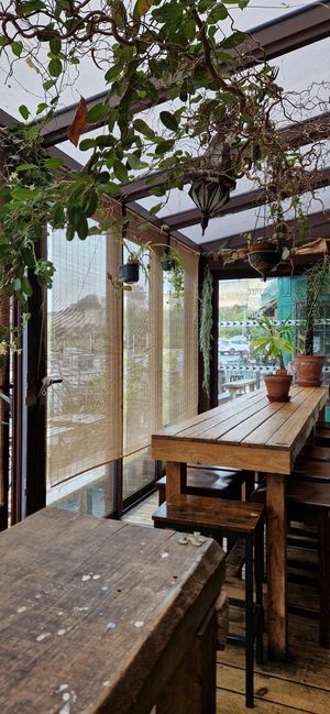  at Moon and Sons in Caen