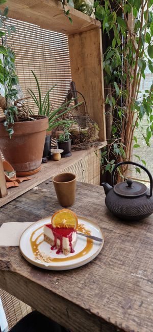  at Moon and Sons in Caen