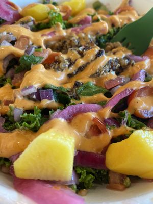 Rainbow 🌈 Salad  at Plantology - Cloud Kitchen - Maybe closed in San Antonio