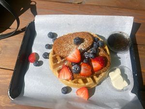 Chik’n & Waffles at Plantology - Cloud Kitchen - Maybe closed in San Antonio