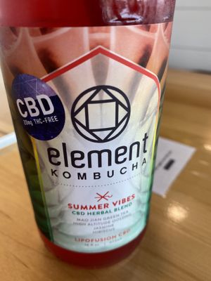 Kombucha 💜 at Plantology - Cloud Kitchen - Maybe closed in San Antonio