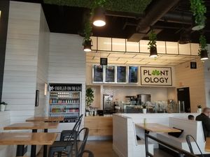 Inside the restaurant at Plantology - Cloud Kitchen - Maybe closed in San Antonio