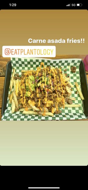 Carne asada fries   at Plantology - Cloud Kitchen - Maybe closed in San Antonio