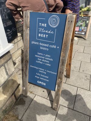   at The Blonde Beet in Stamford