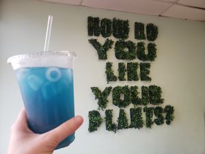 Blue lemonade at Plant Based Heat in Memphis