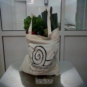 The Organic Veggie Bag....5kg for 15euros delivery at your place for free!!! at Mangia Piano in Gran Canaria