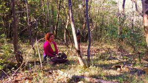 Forest bathing and meditation in the La Source woods at La Source in Le Teil