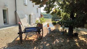 La Source - the garden terrace at La Source in Le Teil