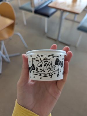 Dog ice cream at Beach Terrace Tea Room in Great Yarmouth