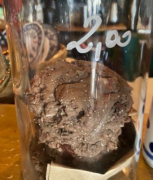 Vegan gluten free cookies   at BABA Handmade Cafe in Leipzig