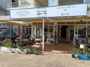 Local at Organic in Mallorca