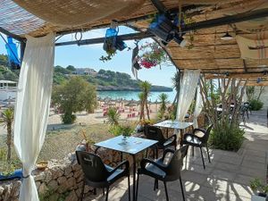 Sea view at Organic in Mallorca