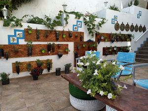 Deco'  at Organic in Mallorca