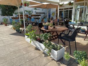 Ambient at Organic in Mallorca