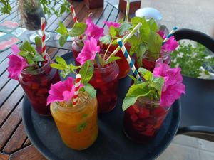 Cocktails at Organic in Mallorca