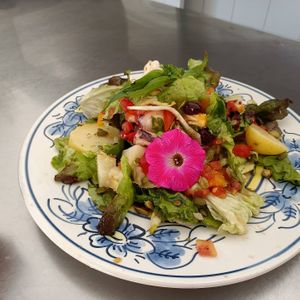 Salad at Organic in Mallorca