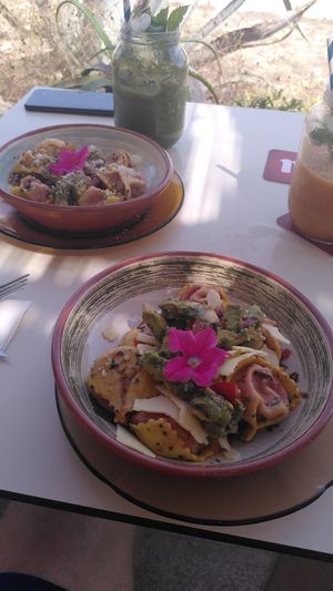 Ravioli at Organic in Mallorca