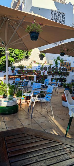  at Organic in Mallorca