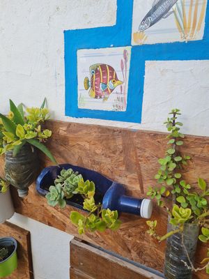  at Organic in Mallorca