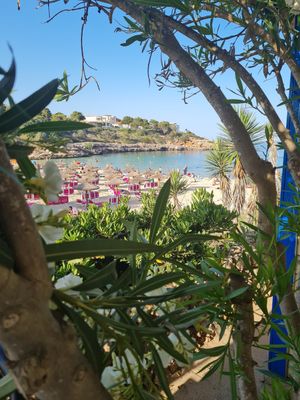  at Organic in Mallorca