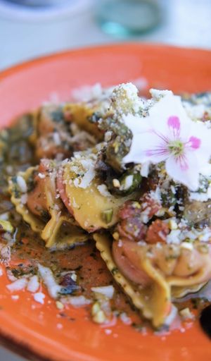 Vegan ravioli   at Organic in Mallorca