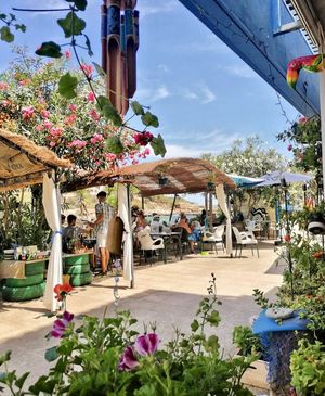   at Organic in Mallorca