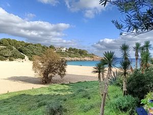   at Organic in Mallorca