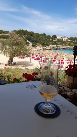  at Organic in Mallorca