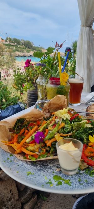  at Organic in Mallorca