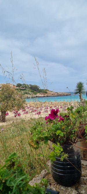  at Organic in Mallorca