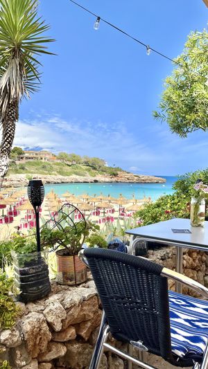   at Organic in Mallorca