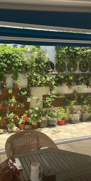   at Organic in Mallorca