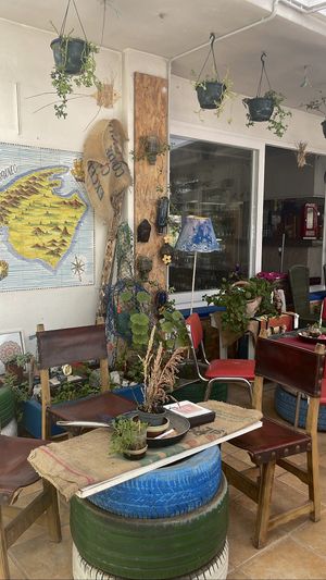   at Organic in Mallorca