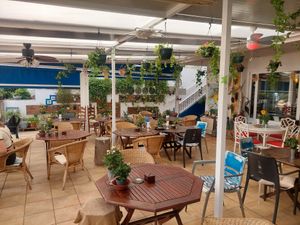 Inside at Organic in Mallorca