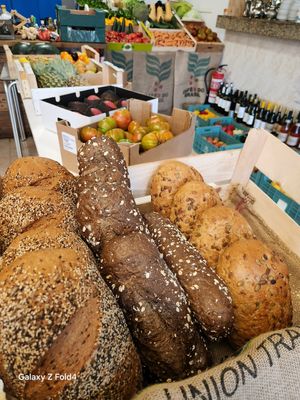  at Organic in Mallorca