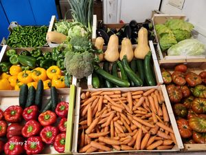  at Organic in Mallorca