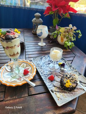  at Organic in Mallorca