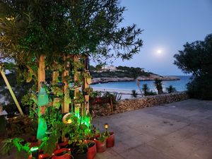  at Organic in Mallorca