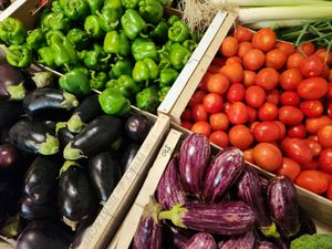  at Organic in Mallorca