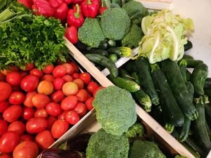  at Organic in Mallorca