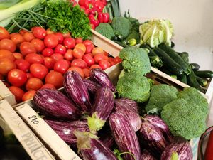  at Organic in Mallorca