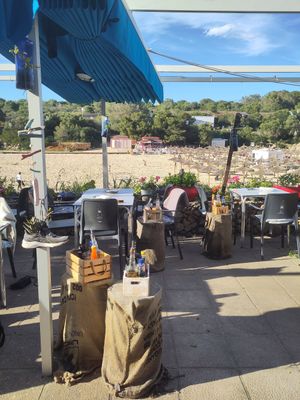 Outdoor seating at Organic in Mallorca