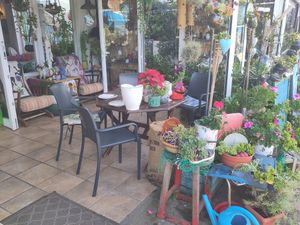 Patio seating at Organic in Mallorca