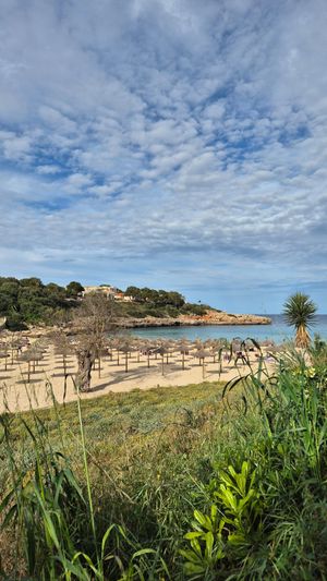 View from the terrace over the beach at Organic in Mallorca