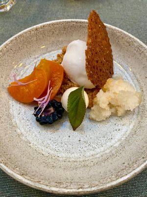 Menu Roof Food zomer 2025 - Zoet: Abrikoos - amandel - yoghurt at Yasai Gent  in Ghent