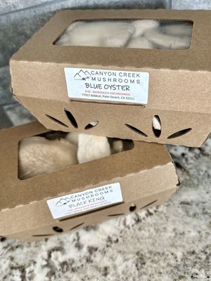 Canyon Creek Mushrooms   at Joshua Tree Farmers Market in Joshua Tree