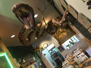 Decor is cool! at Moana Pokebowls in Bruges